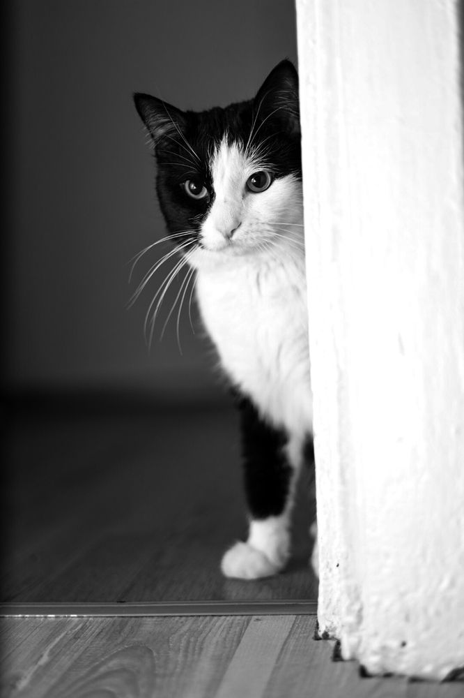 Photograph by Наталия Серая