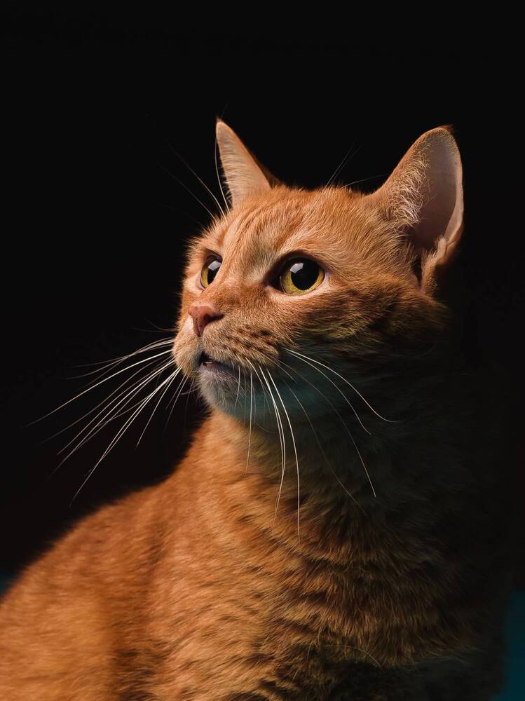 Photograph by Фурман Алексей