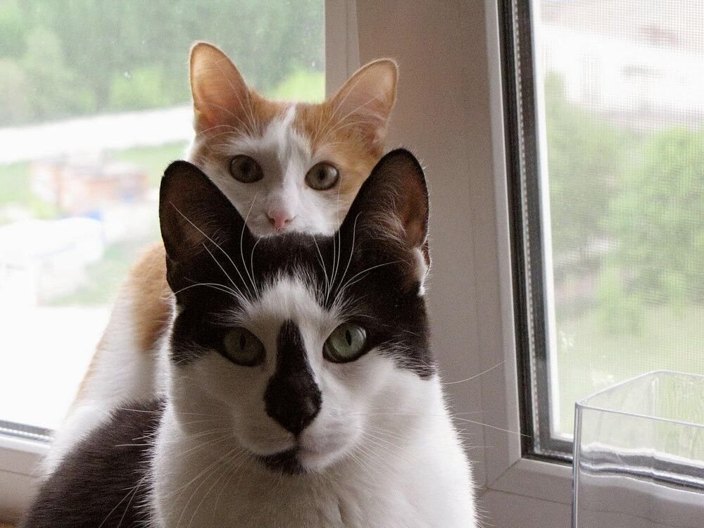 Photograph by Виталий Глазачев