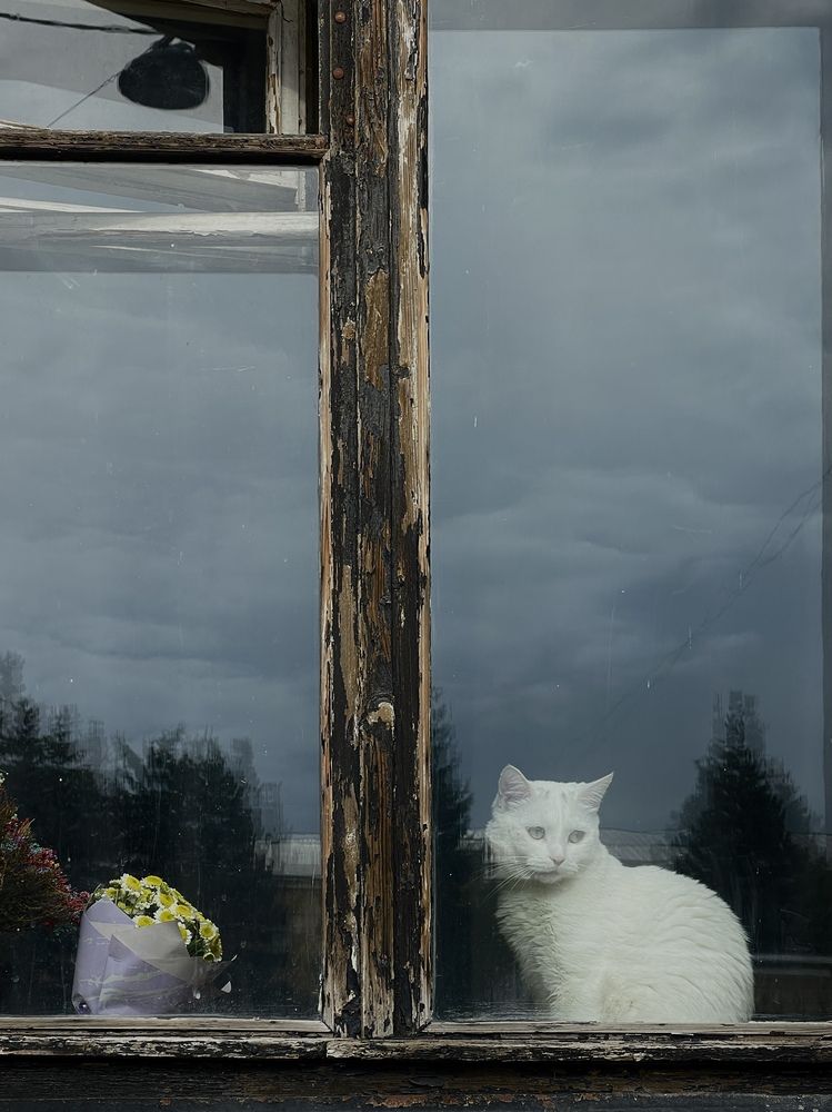 Photograph by Tina Baks