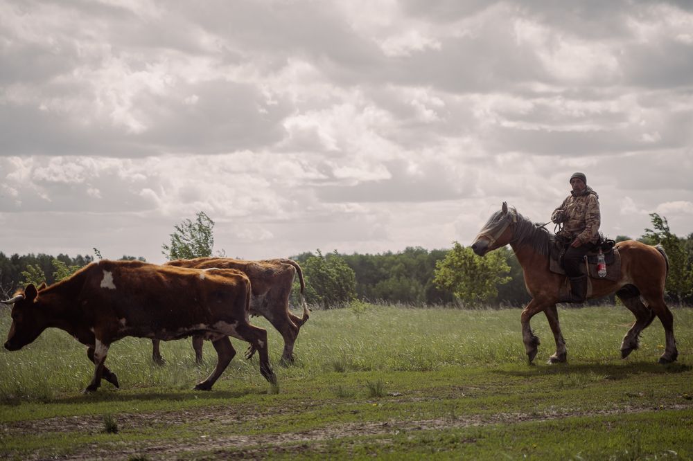 Photograph by BorzIN