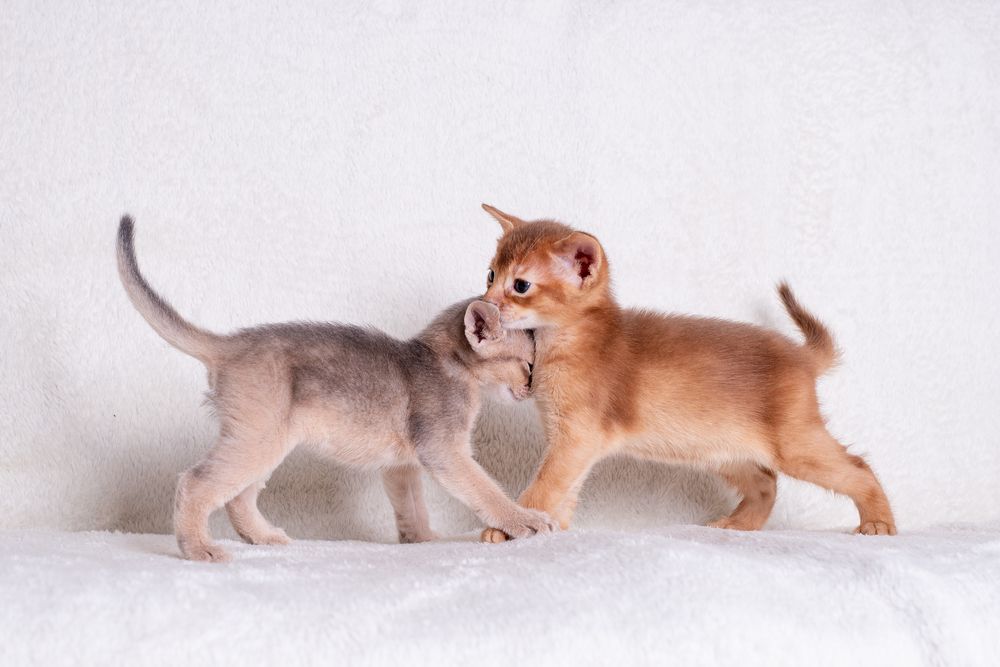 Photograph by наталья залогина