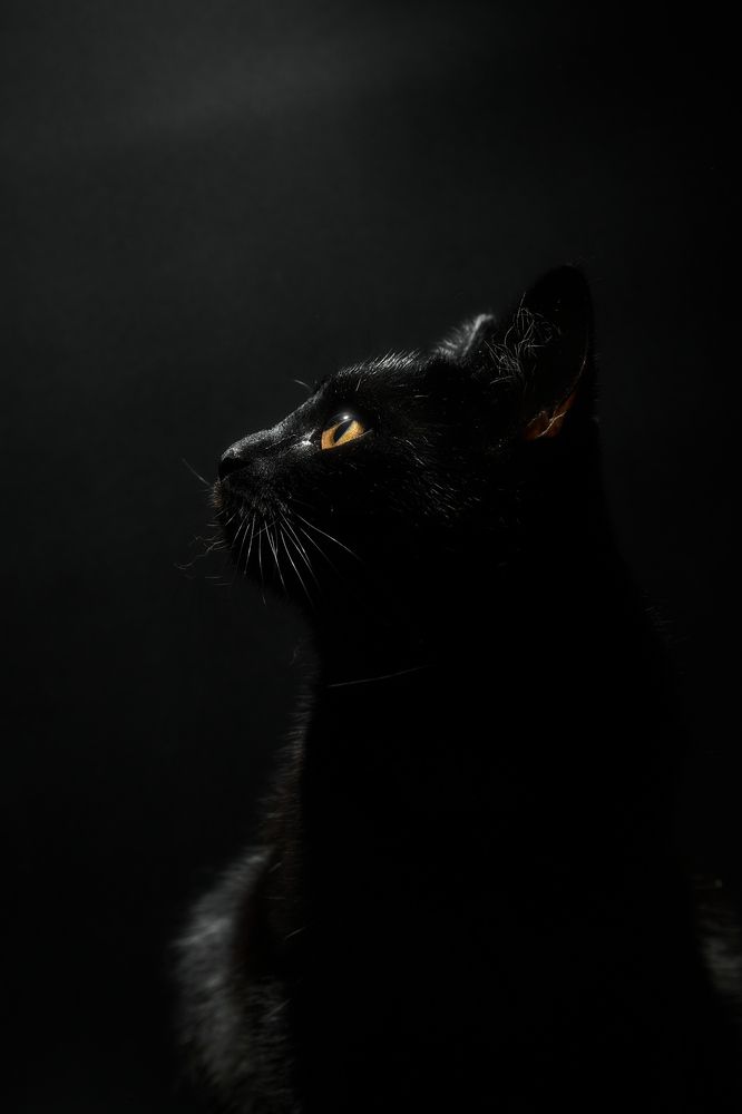 Photograph by Сергей Антонов