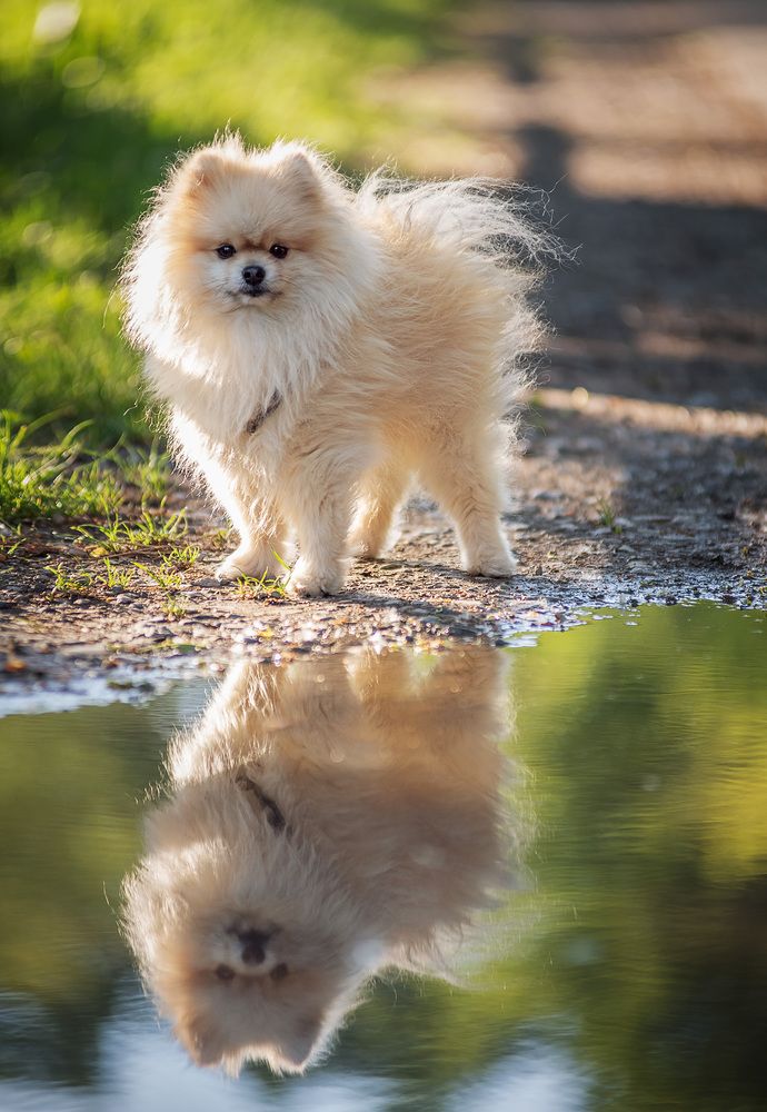 Photograph by Юлия Григорьева