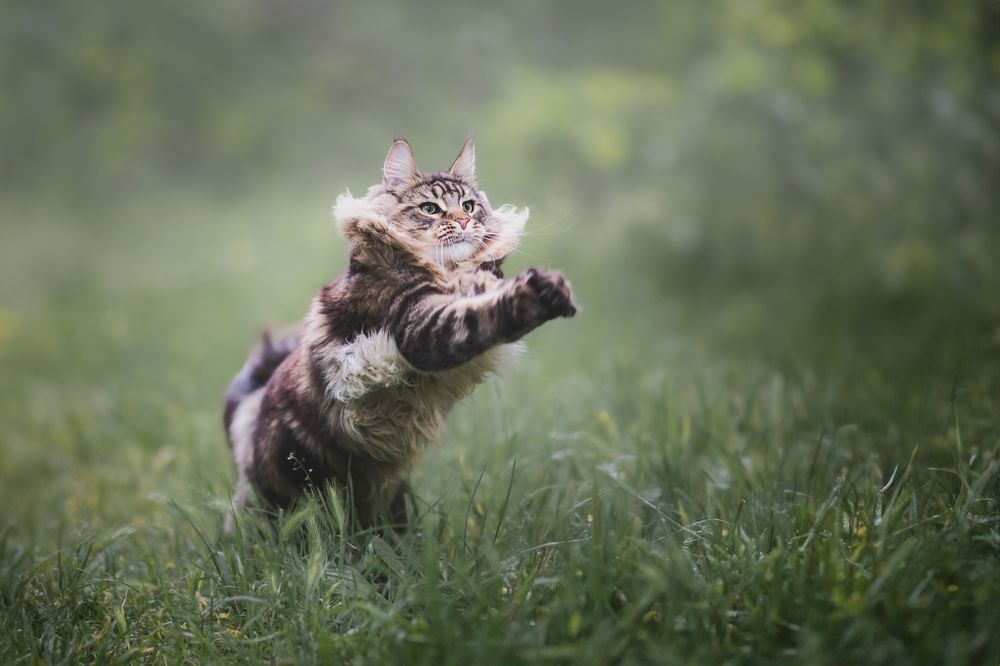 Photograph by GRISELDA FERNANDEZ