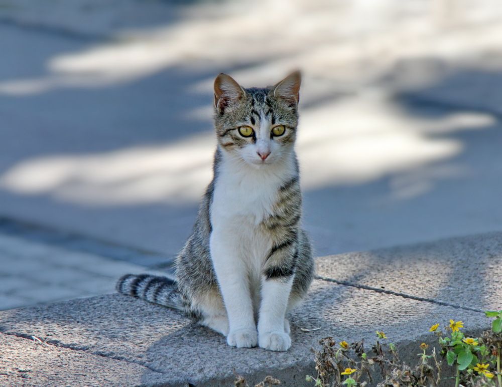 Photograph by Свиденцов Михаил