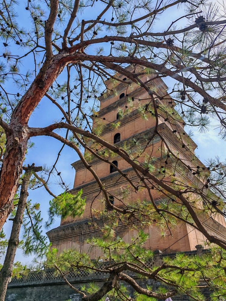 Photograph by Юлия