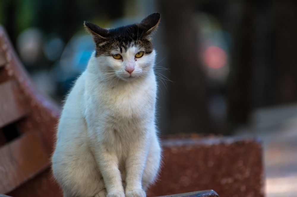 Photograph by Александр Фанталов