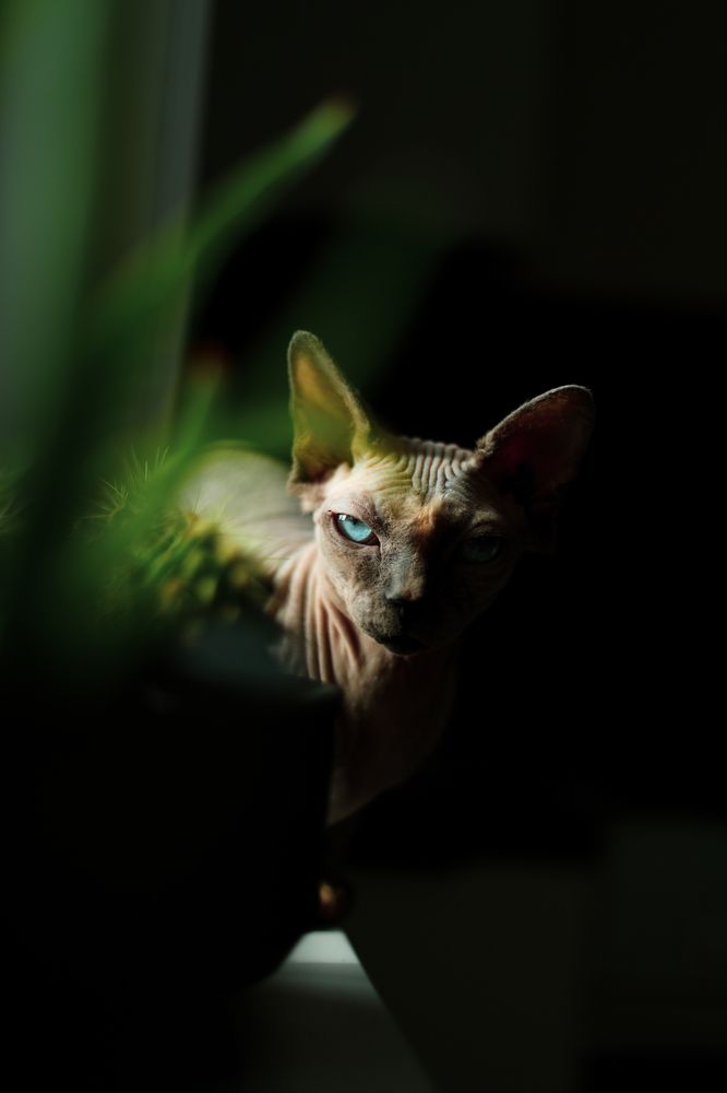 Photograph by Александр Шевешов