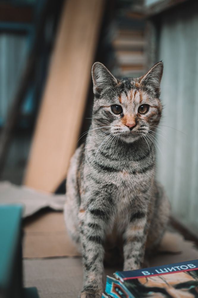 Photograph by Александр Шевешов