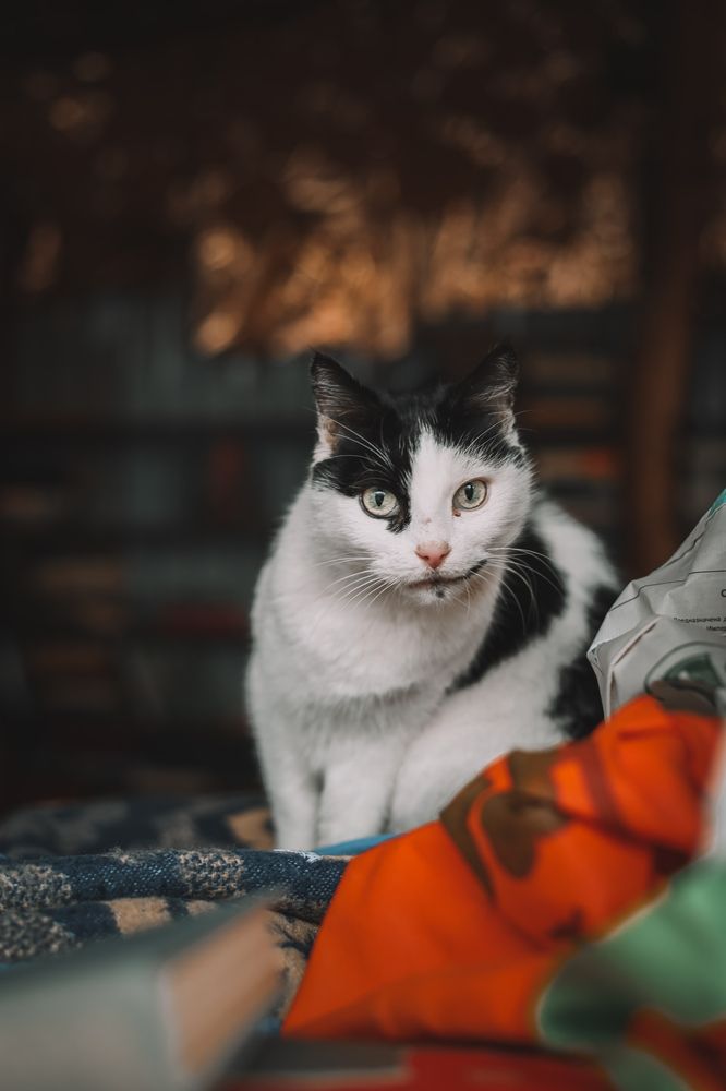 Photograph by Александр Шевешов