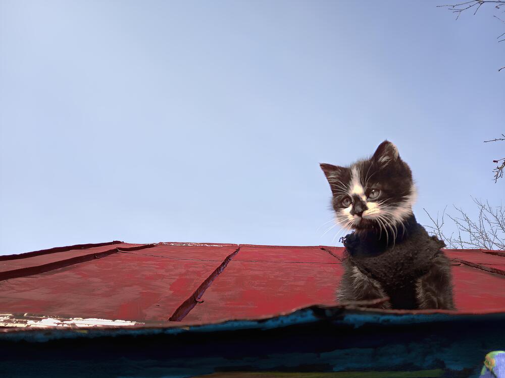 Photograph by Карина Плахова