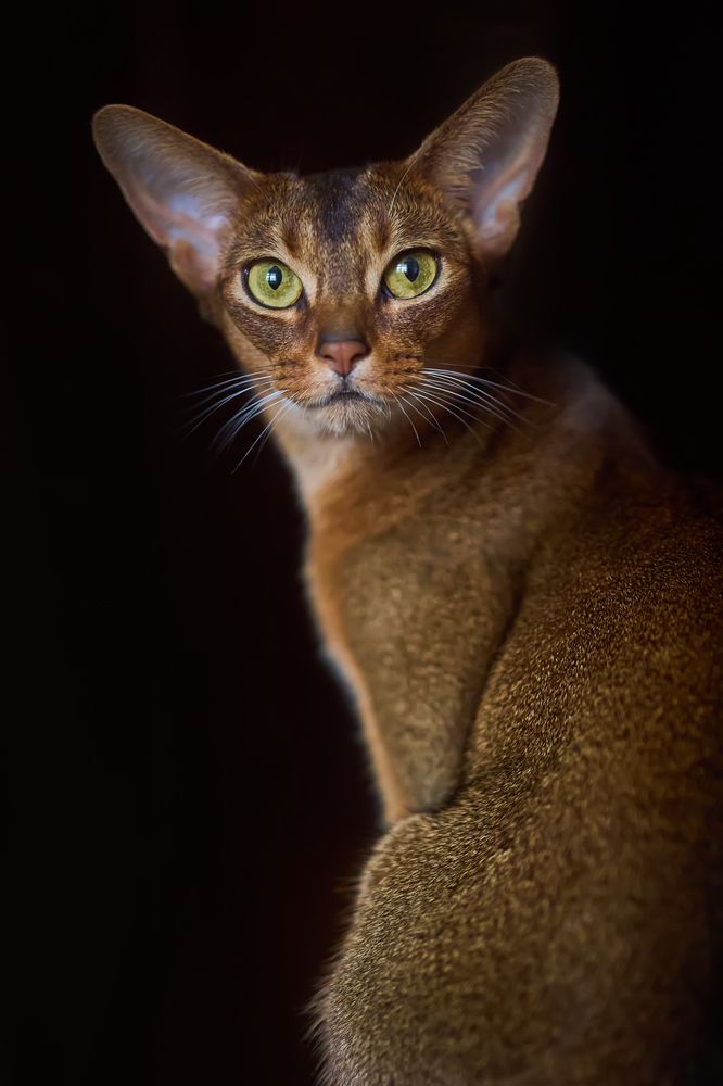 Photograph by Юлия