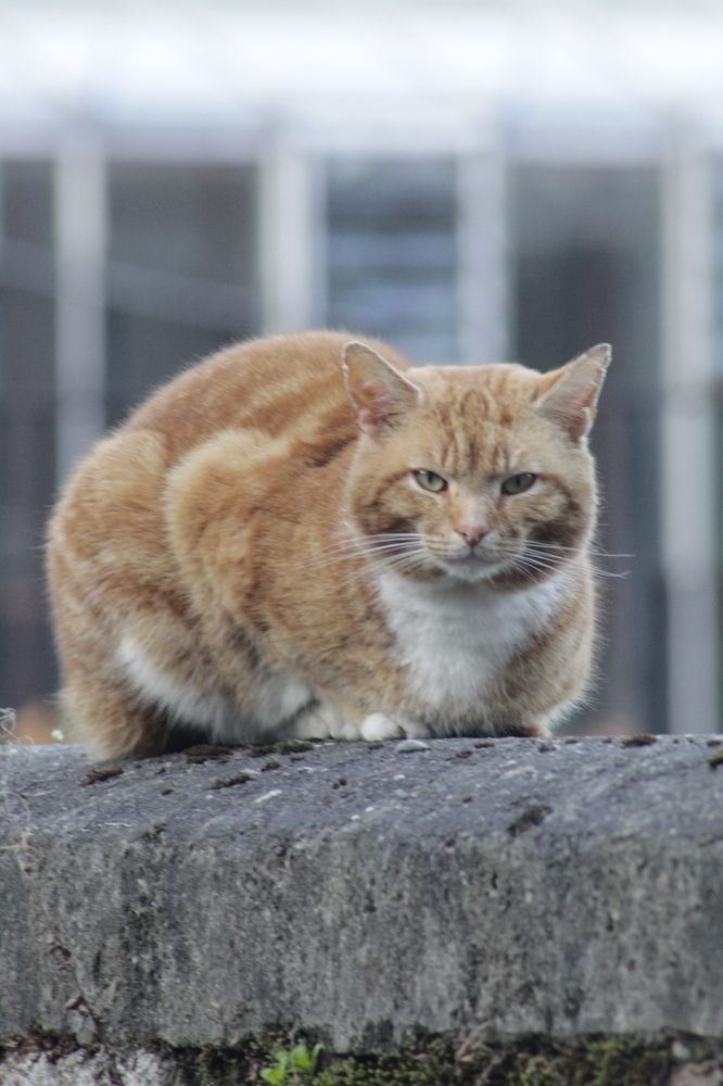 Фотография автора Sarah guthrie