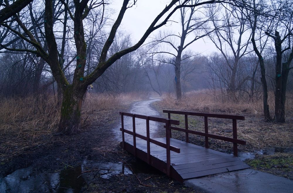 Фотография автора Андрей Занкович