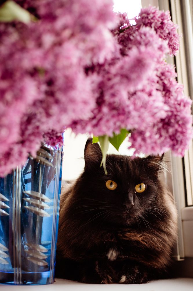 Фотография автора Дарина Фельдман