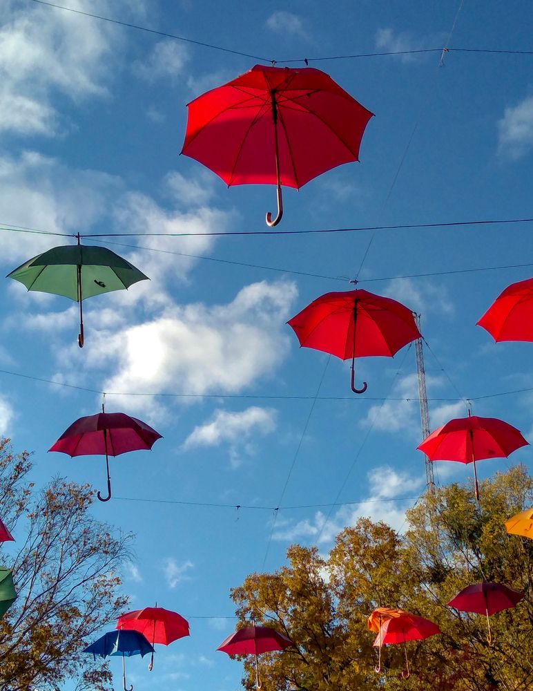 Фотография автора Olena Vorotyntseva