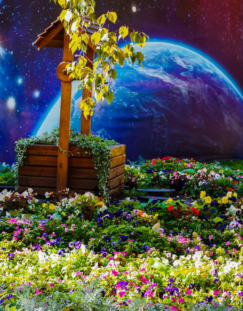 Фотография автора Olena Vorotyntseva