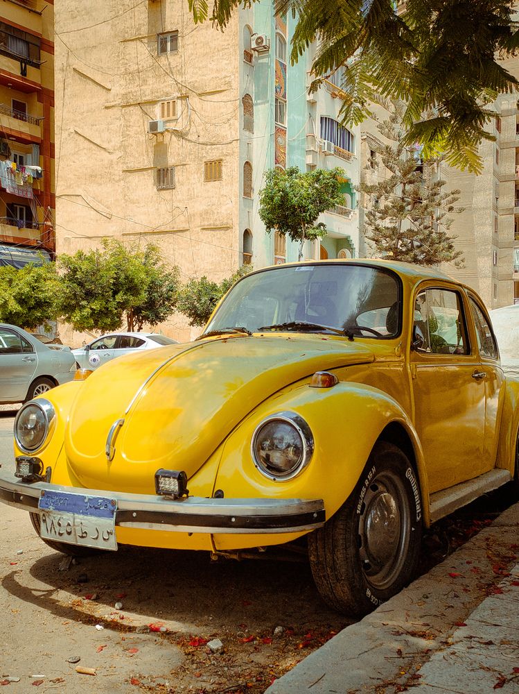 Фотография автора Sara Attia