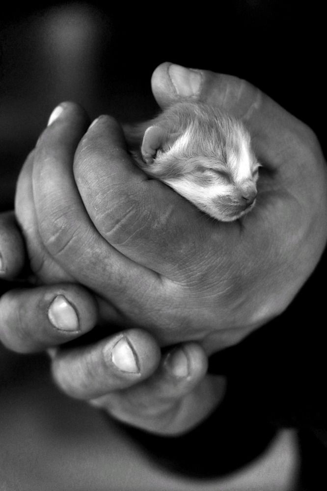 Photograph by Татьяна Кужлекова