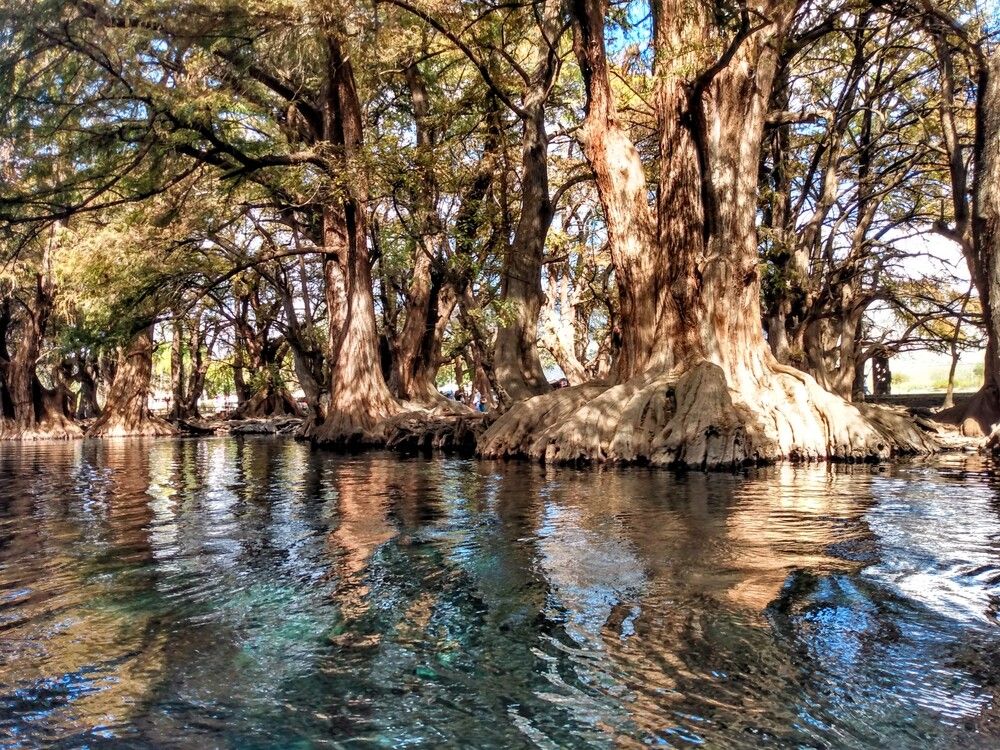 Photograph by José Luis Mendoza Machado
