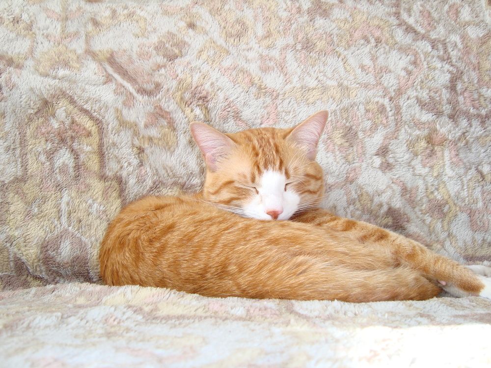 Photograph by Алена Погодаева