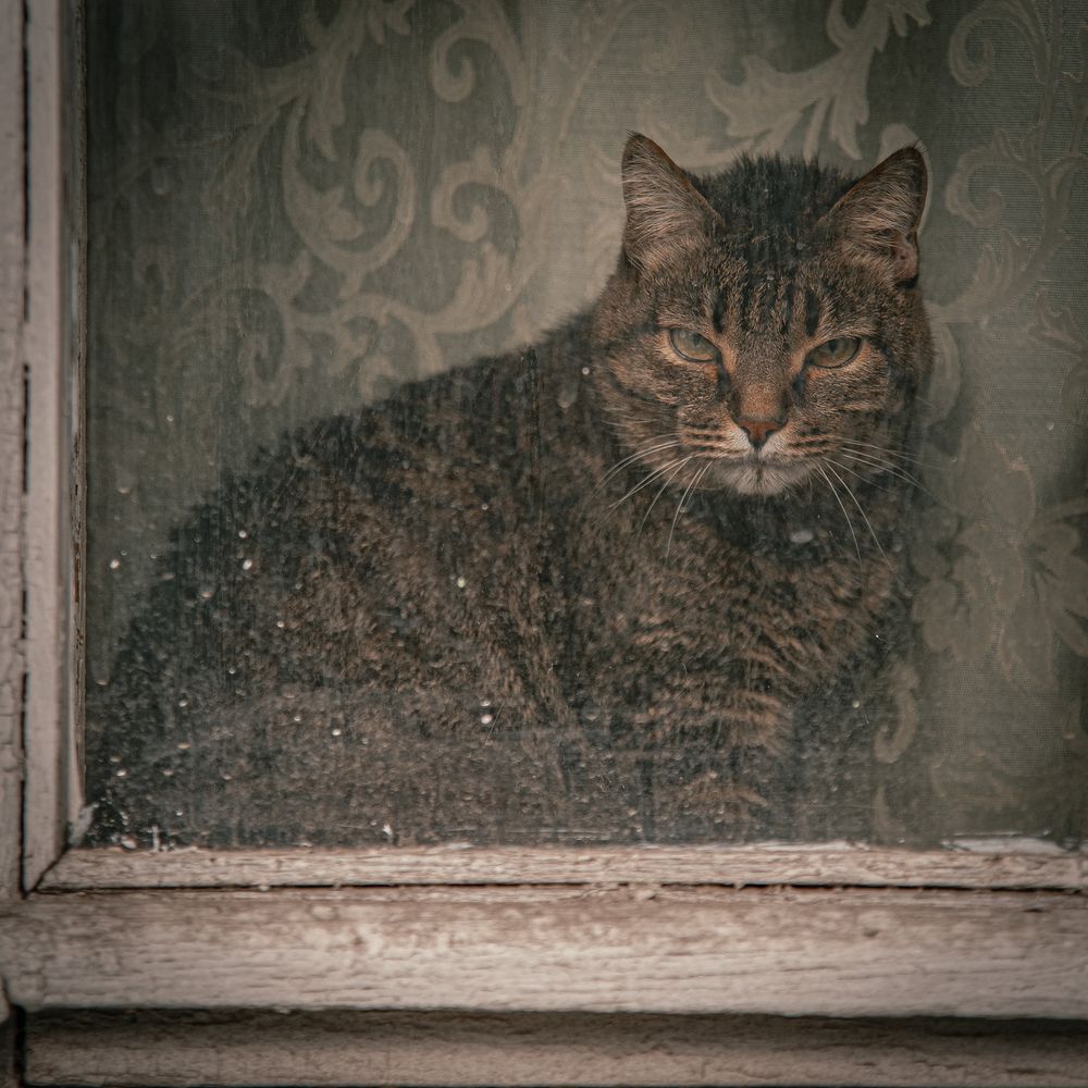 Фотография автора Михаил Кругов