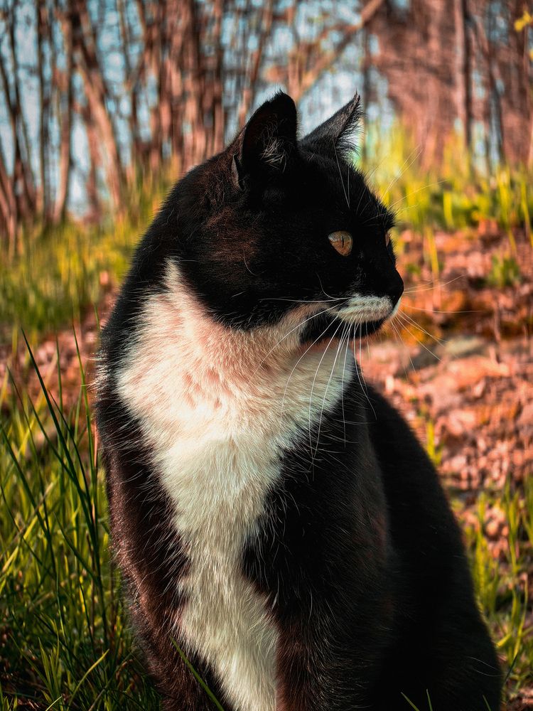 Фотография автора Рина Флинн