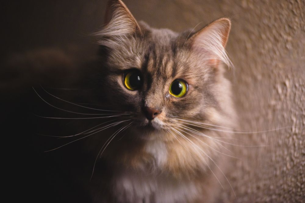 Photograph by Фурман Алексей