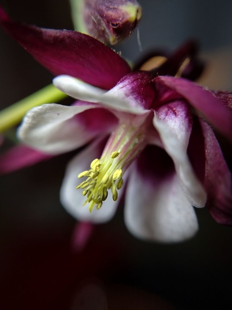 Тайны красоты