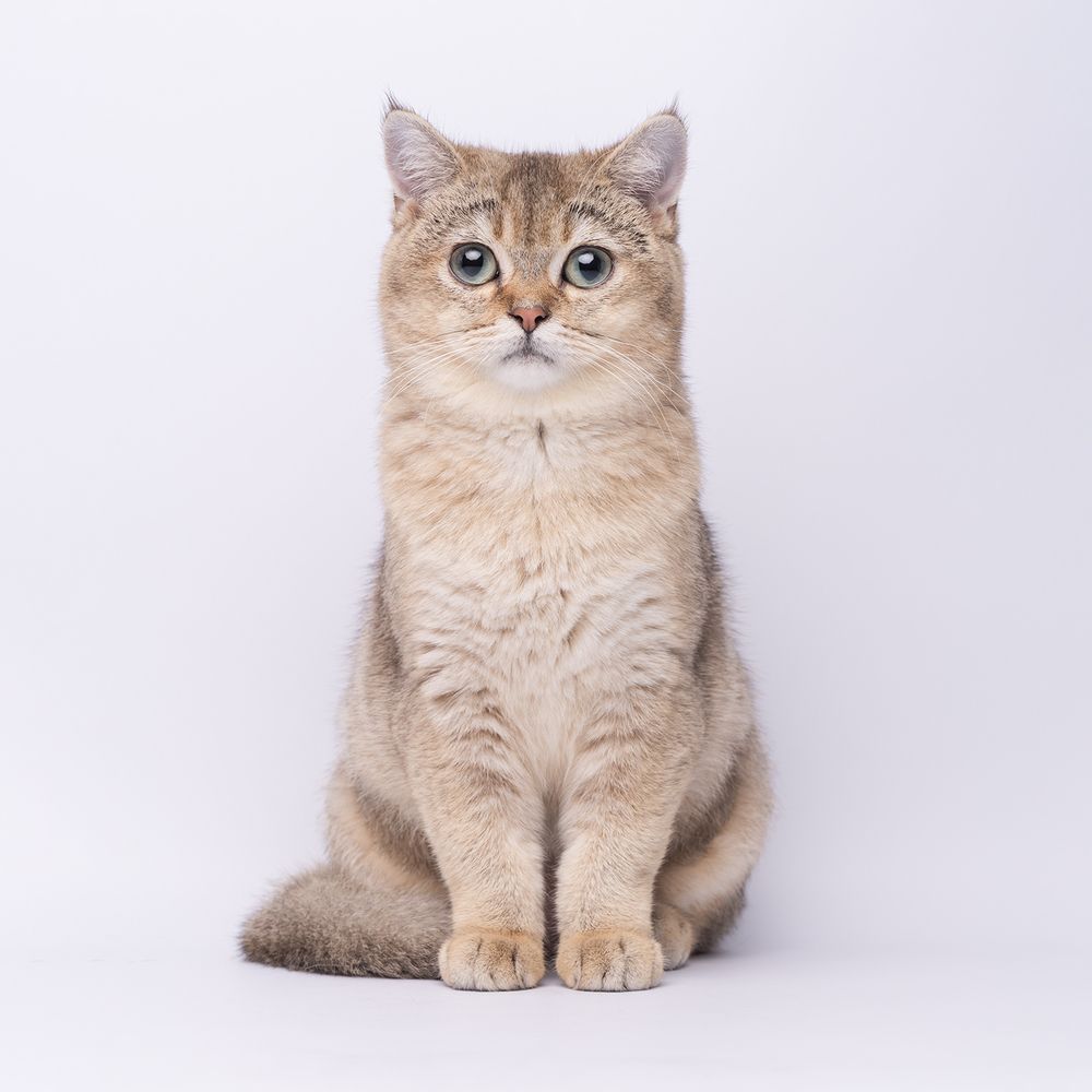 Photograph by Bernard Sim