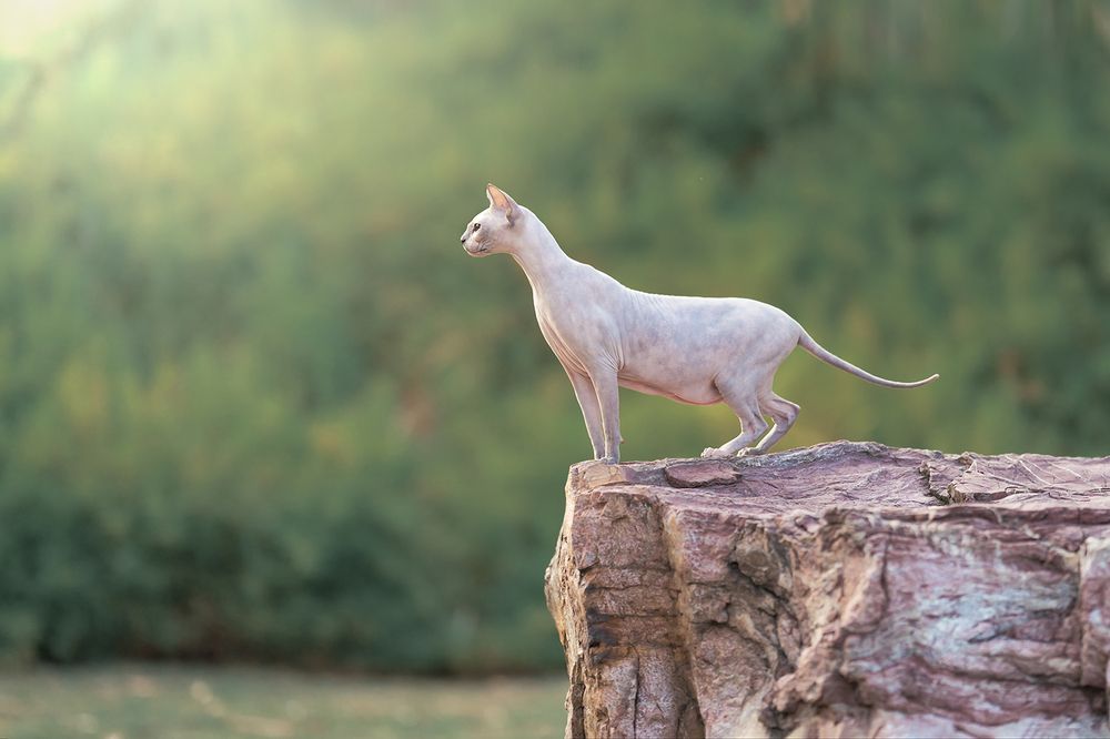 Photograph by Bernard Sim