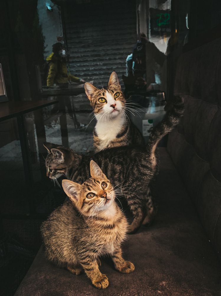 Photograph by Кирилл Халимонов