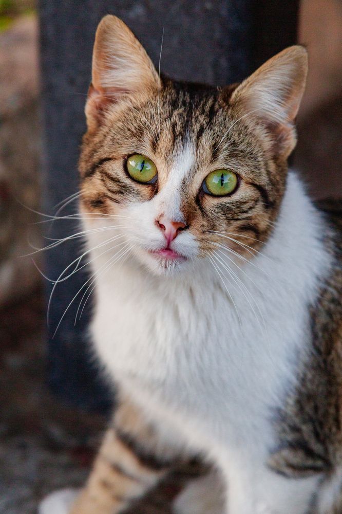 Photograph by Кирилл Халимонов