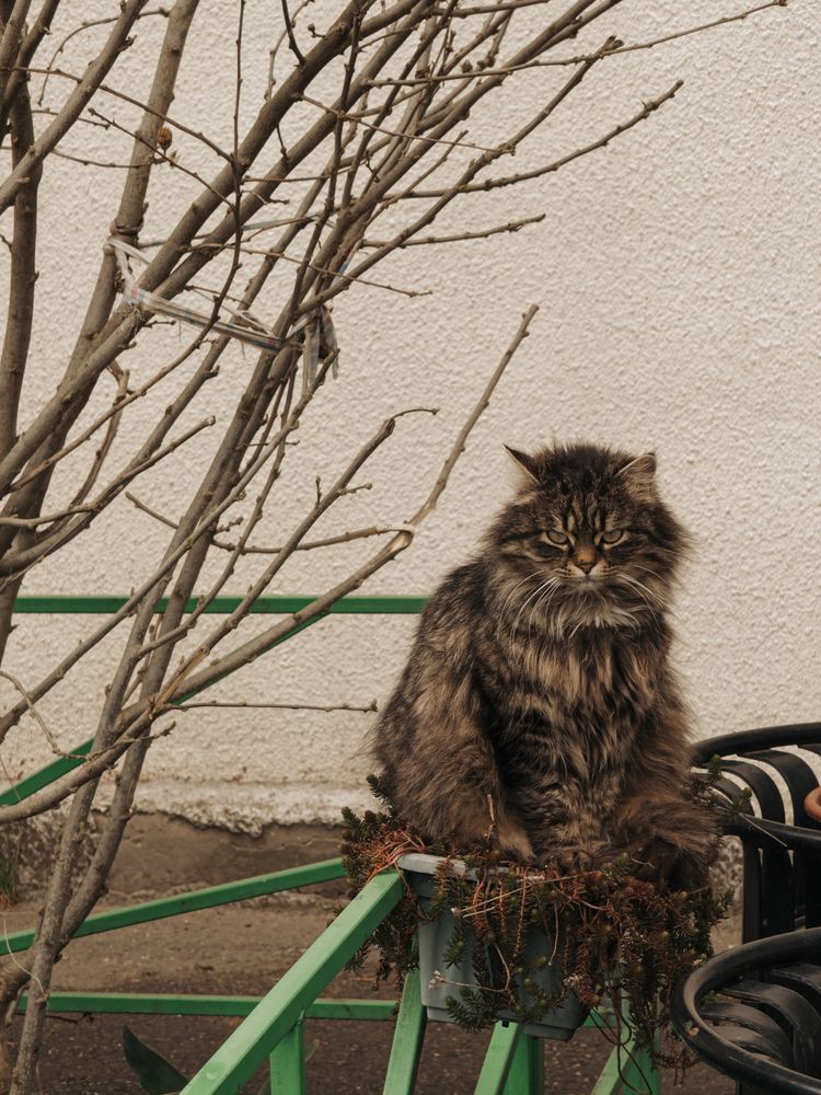 Photograph by Анна Голубцова