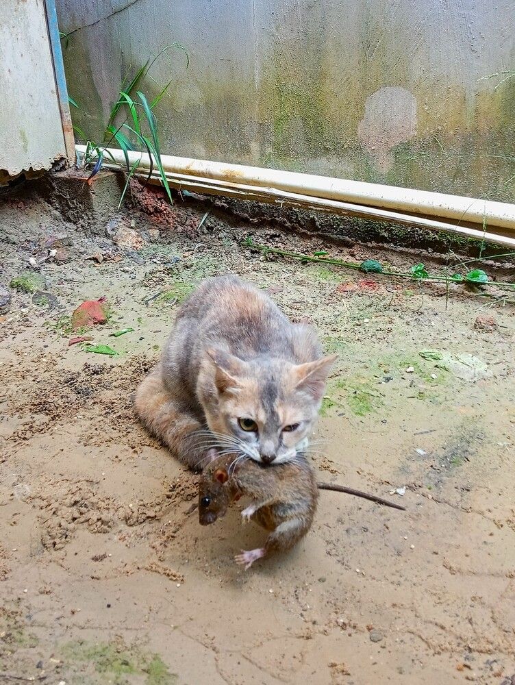 Photo #12229813
