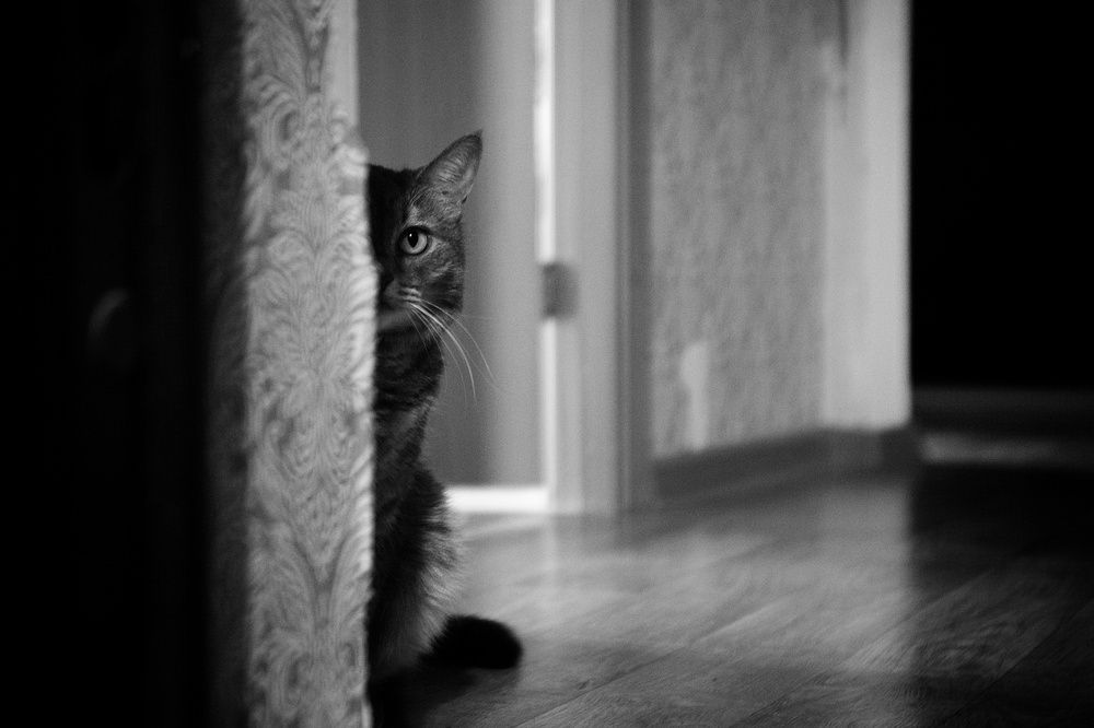 Photograph by Владимир Леликов-Кузьменко