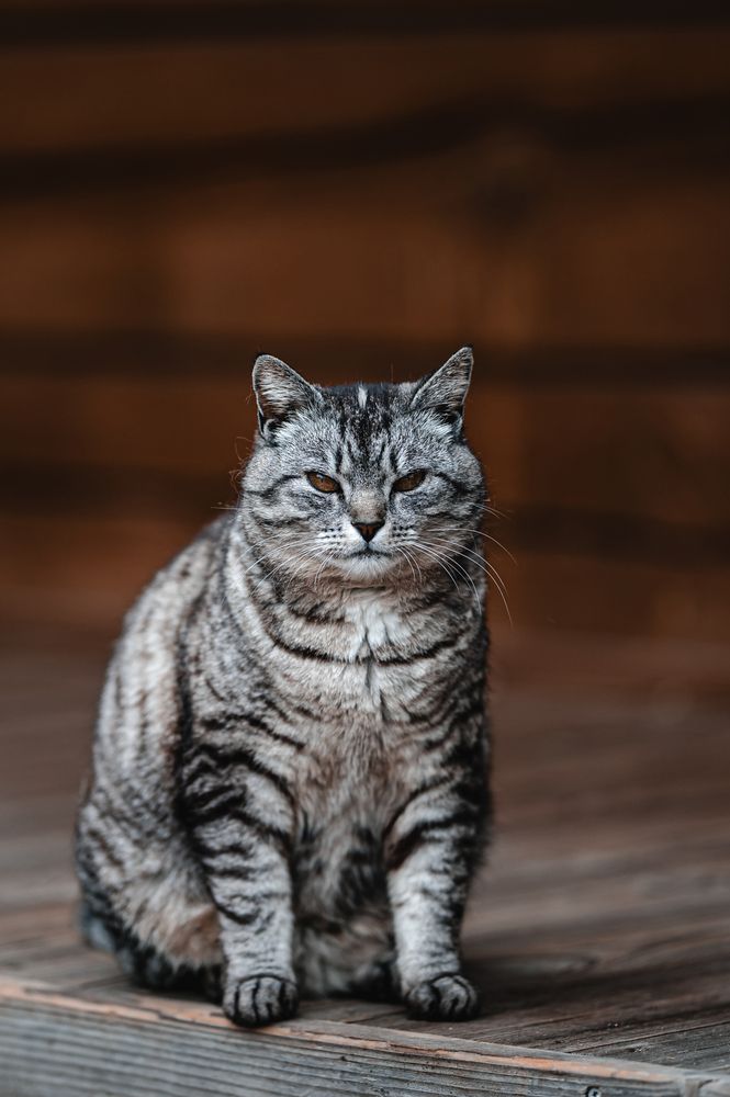 Photograph by Sandra Degutyte