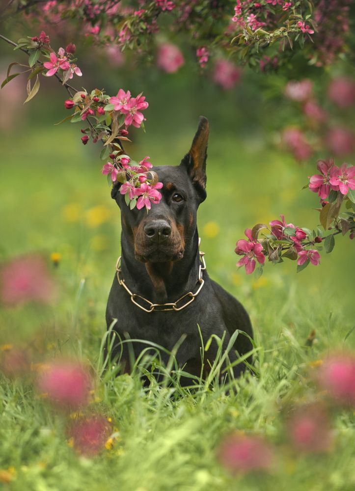 Photograph by Мария Клещенко