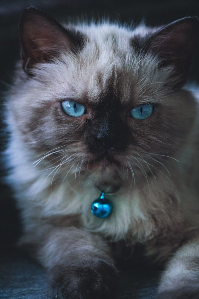 Photograph by Yukta Rai