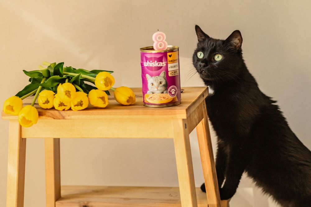 Photograph by Людмила Колесниченко