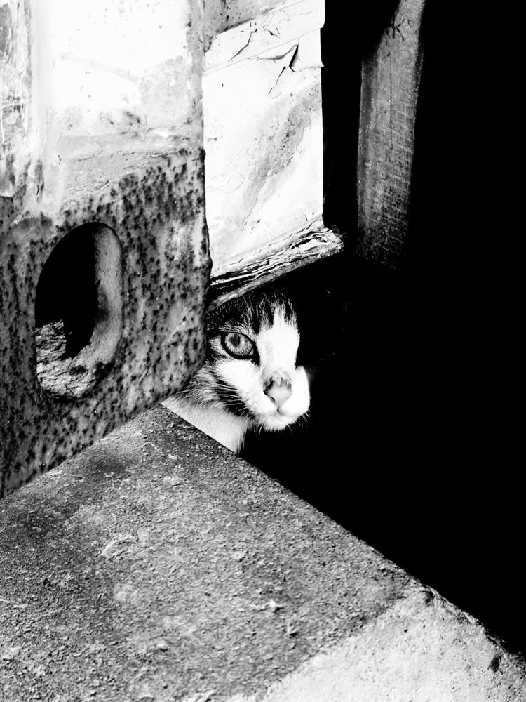 Photograph by Милена Константинова