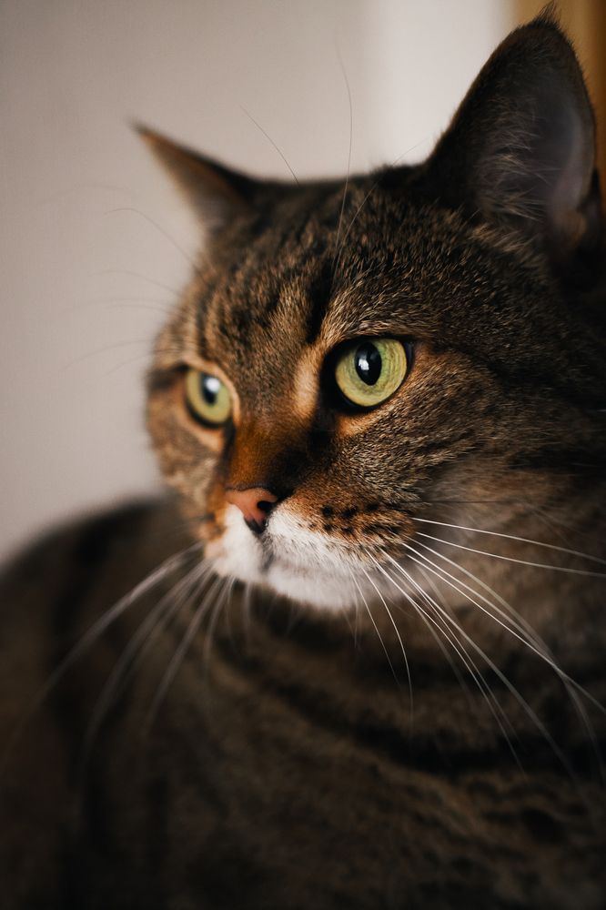 Photograph by Светлана Нестерова