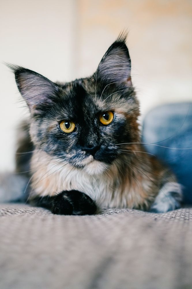 Photograph by Светлана Нестерова