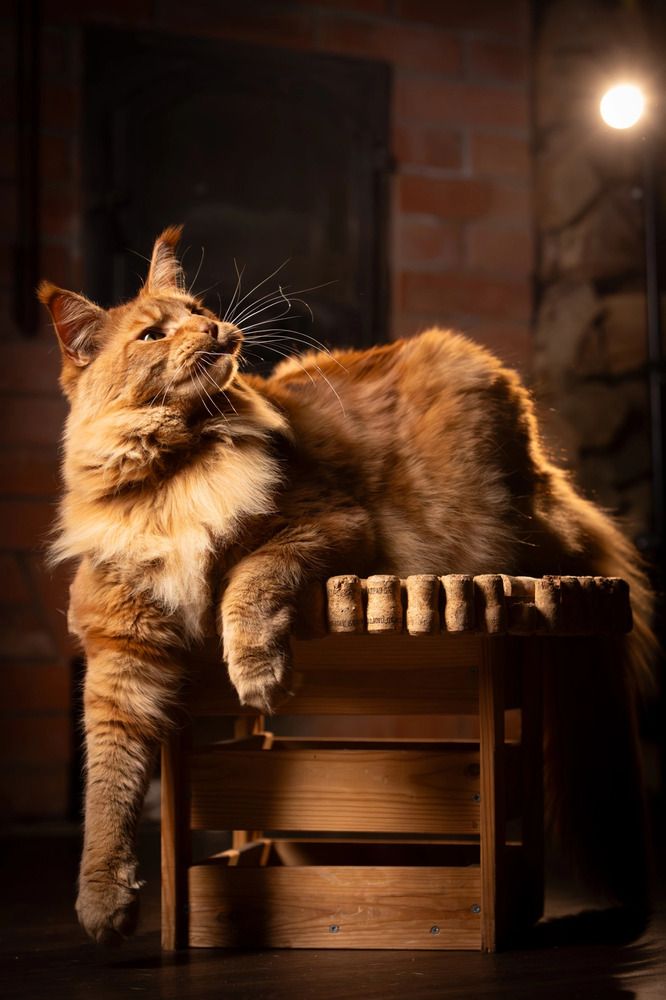 Photograph by Евгения Глинская