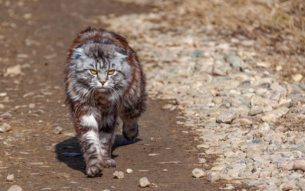 Photograph by Fedorov Denis