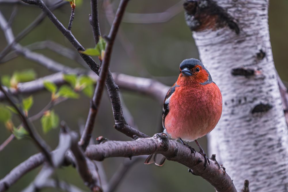 Photograph by Никита Борзов