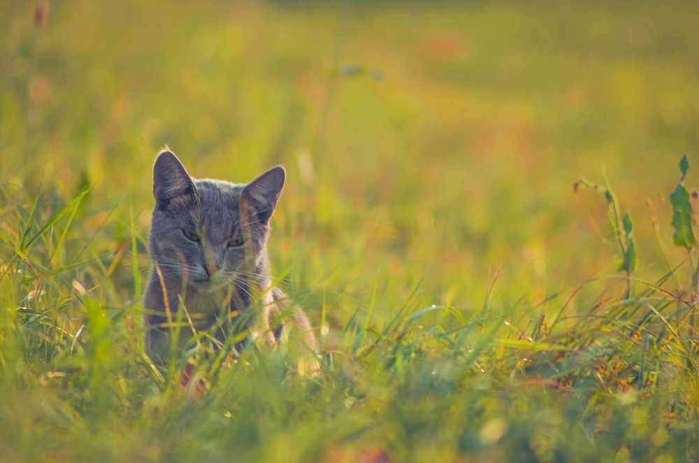 Photograph by Артём Серегин