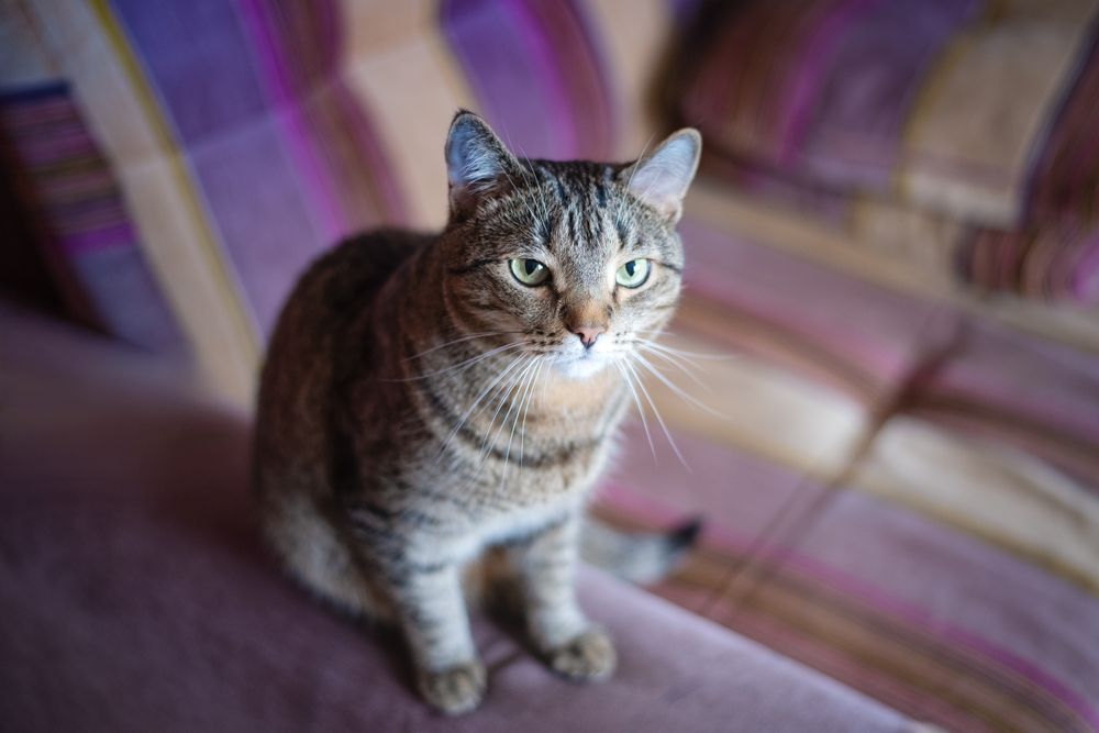 Photograph by Ирина Ященко