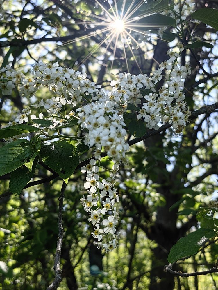 Photograph by Екатерина